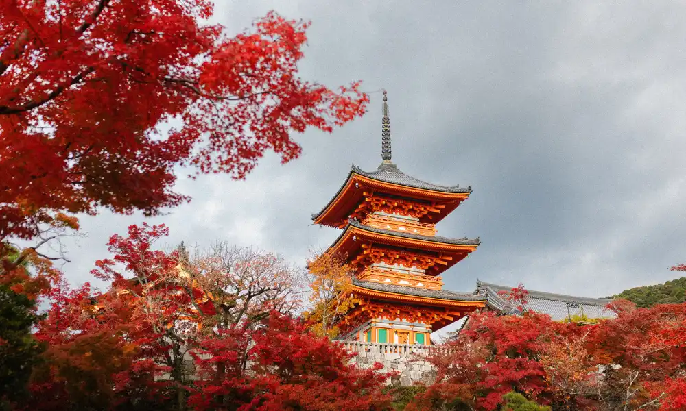 Two weeks in Japan autumn travel scene with traditional Kyoto pagoda and red maple leaves